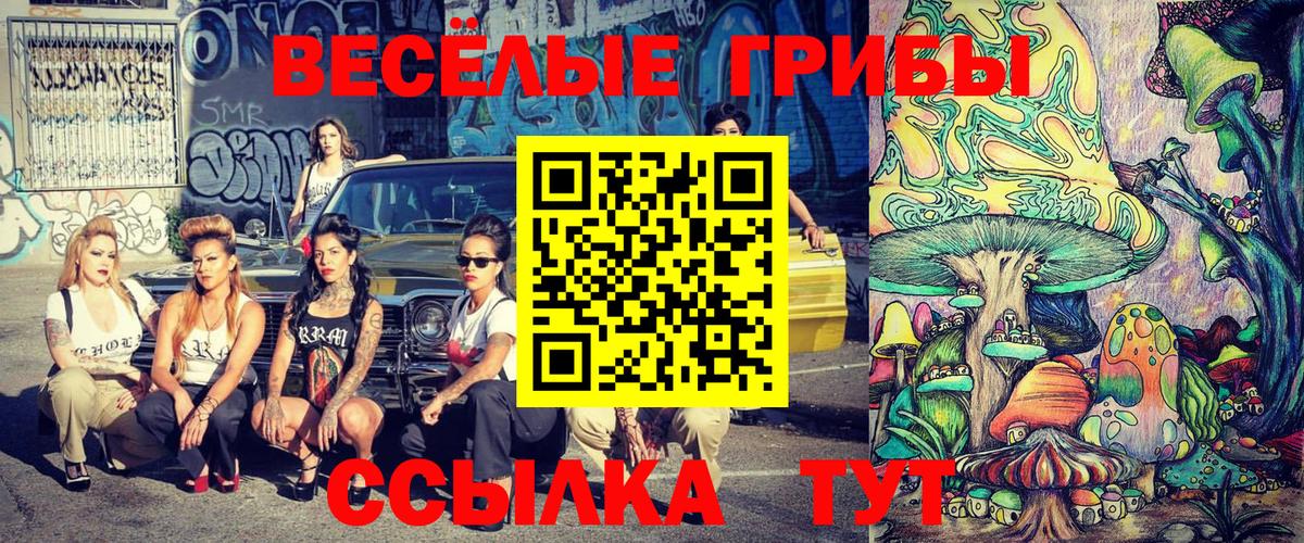 Майский  где продают наркотики  Вход с VPN  Псилоцибиновые грибы мухоморы 